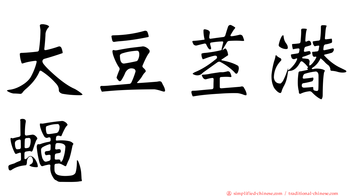 大豆茎潜蝇