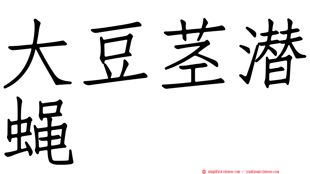 大豆茎潜蝇