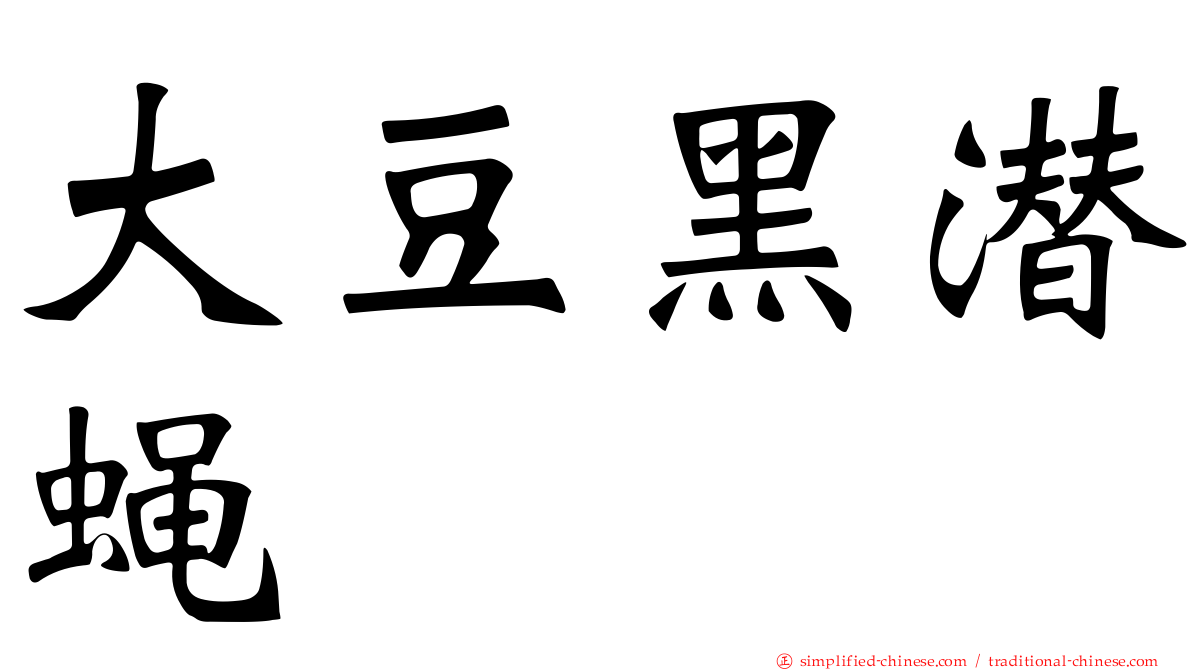 大豆黑潜蝇