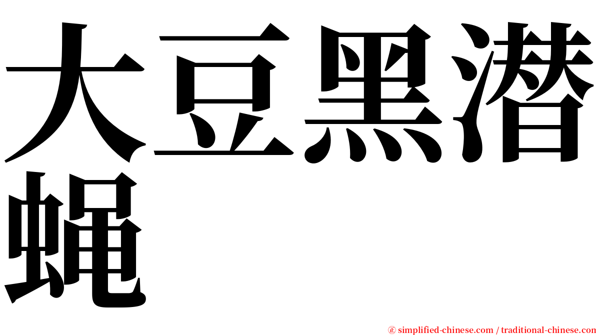 大豆黑潜蝇 serif font