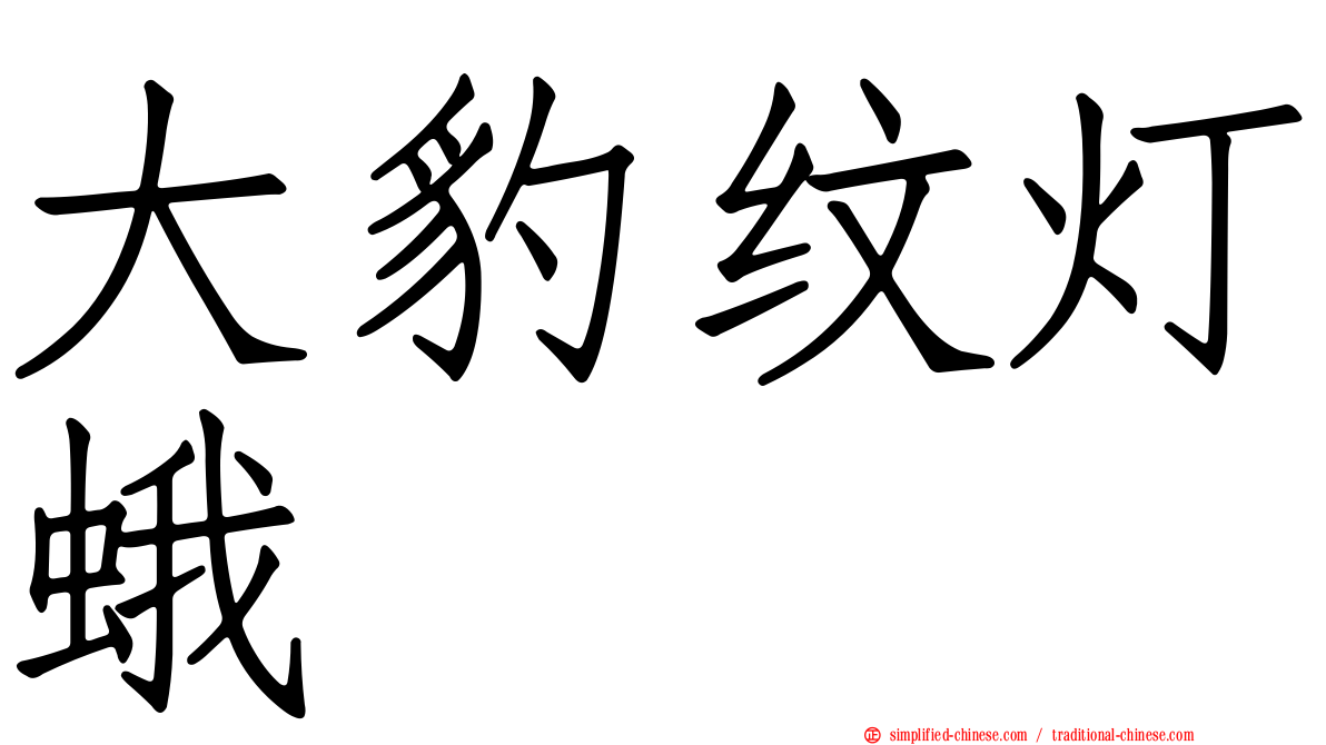 大豹纹灯蛾