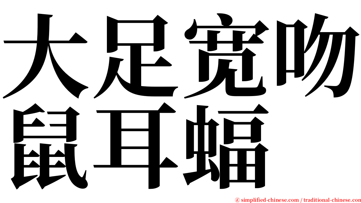 大足宽吻鼠耳蝠 serif font