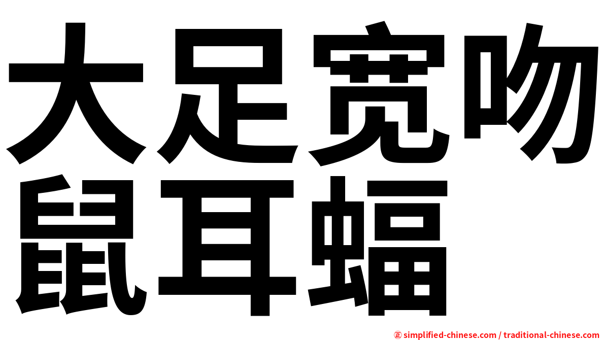 大足宽吻鼠耳蝠