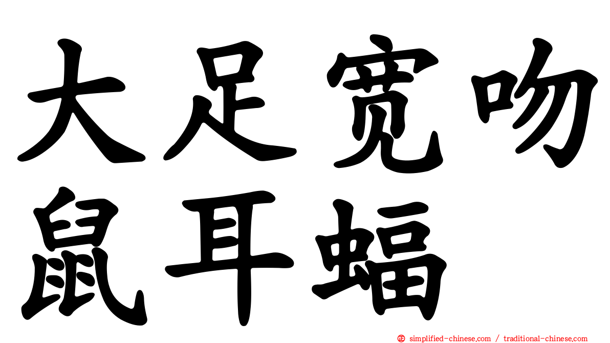 大足宽吻鼠耳蝠