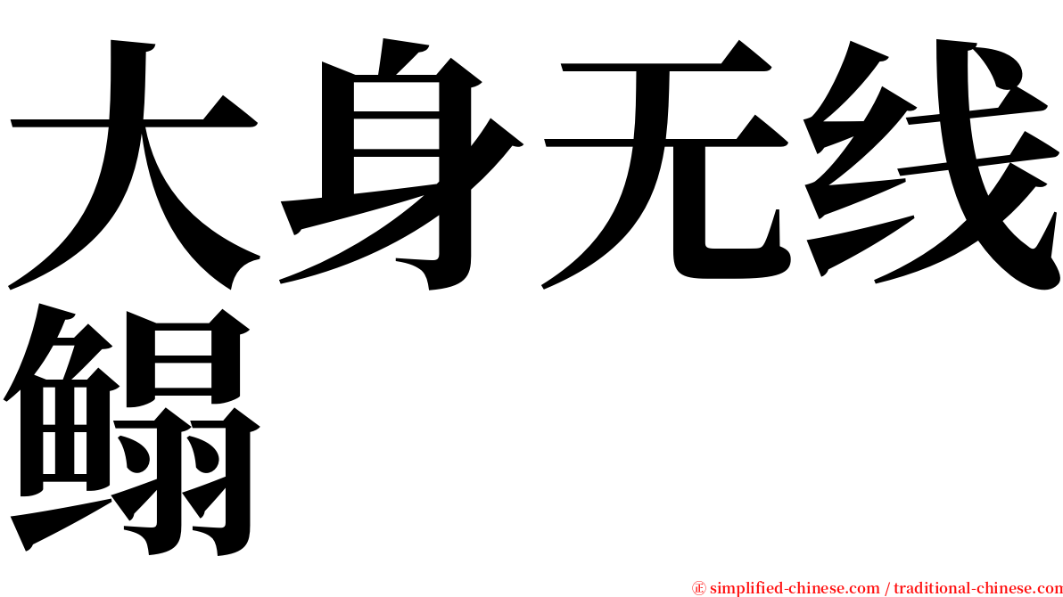 大身无线鳎 serif font
