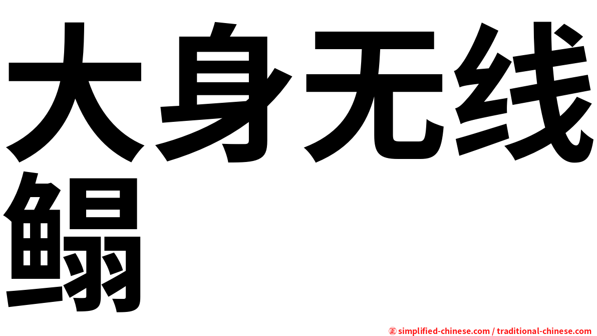 大身无线鳎