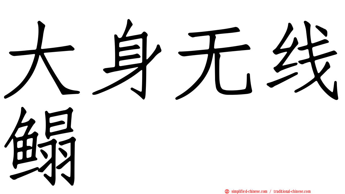 大身无线鳎