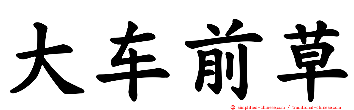 大车前草