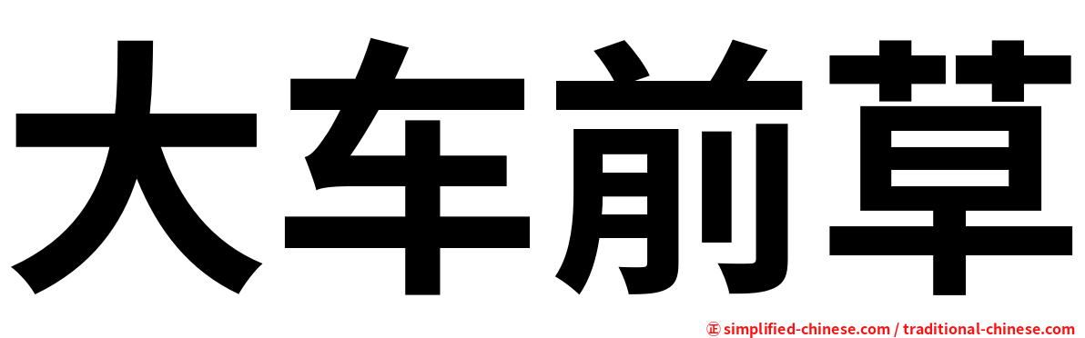 大车前草