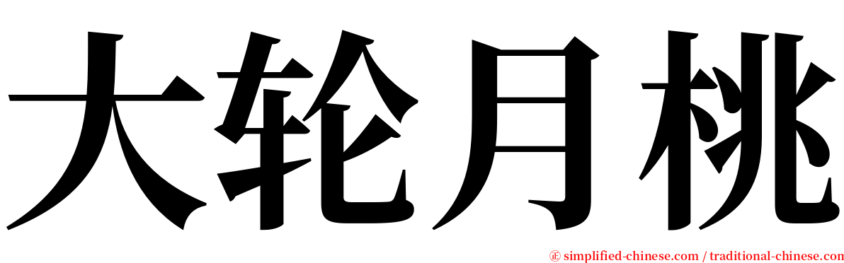 大轮月桃 serif font