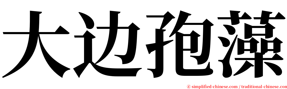 大边孢藻 serif font