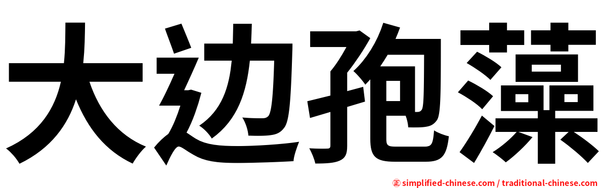 大边孢藻