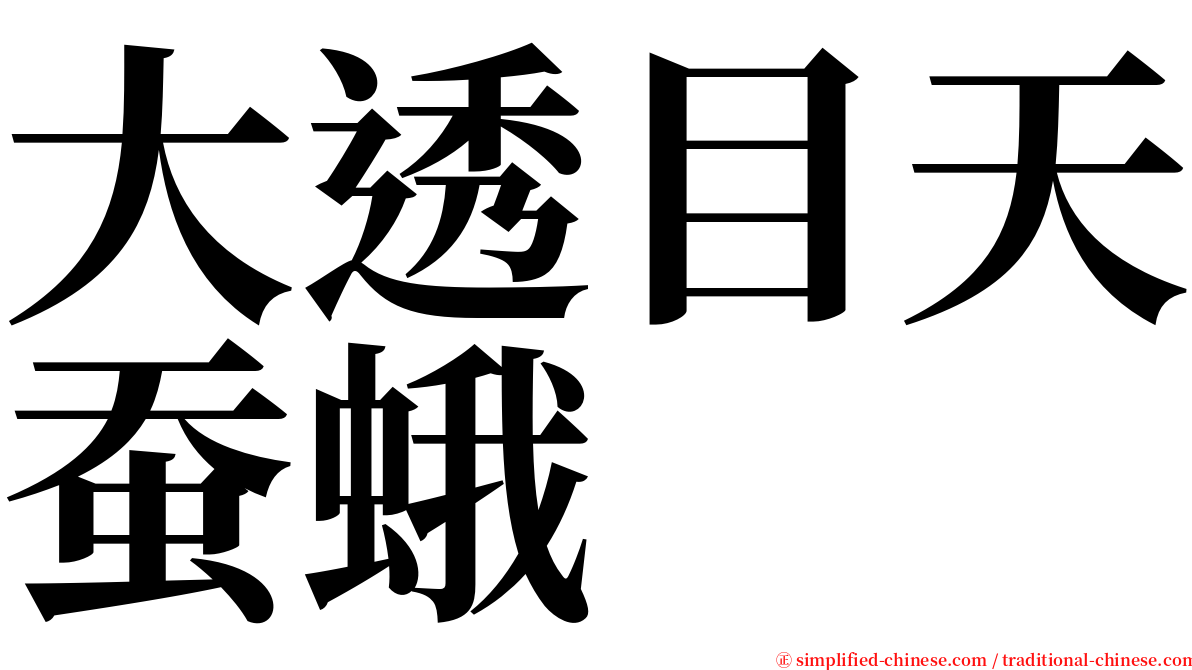 大透目天蚕蛾 serif font