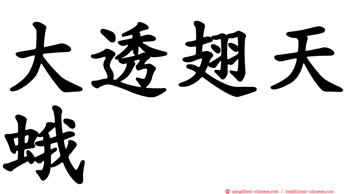大透翅天蛾