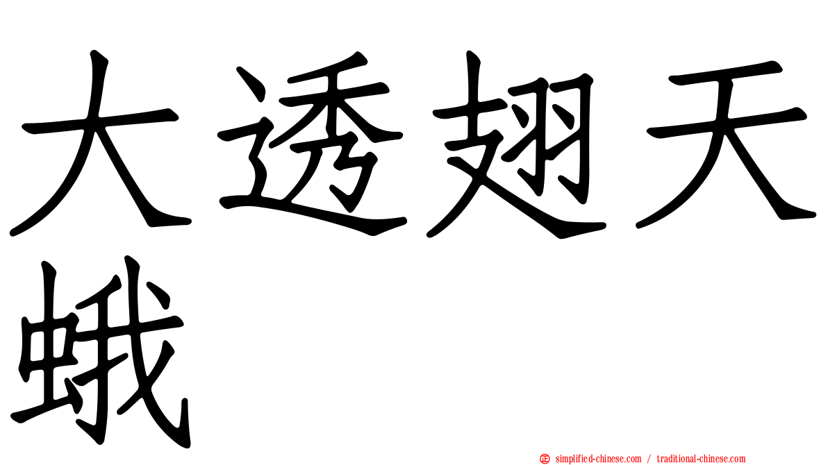 大透翅天蛾
