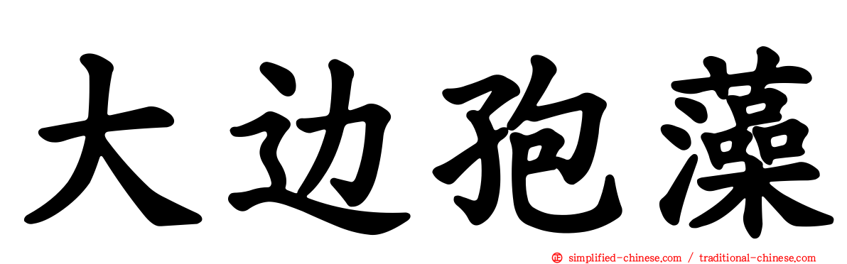 大边孢藻
