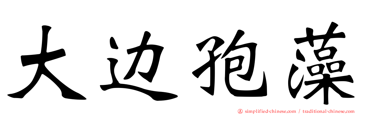 大边孢藻