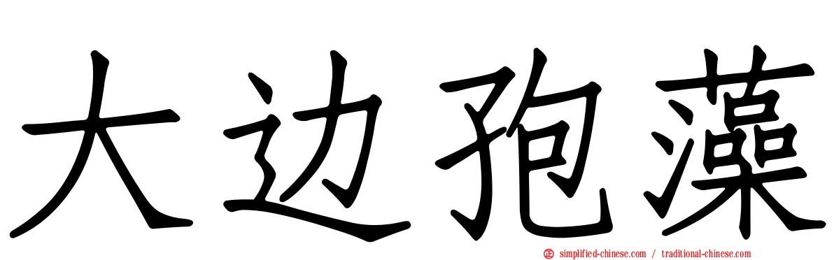 大边孢藻
