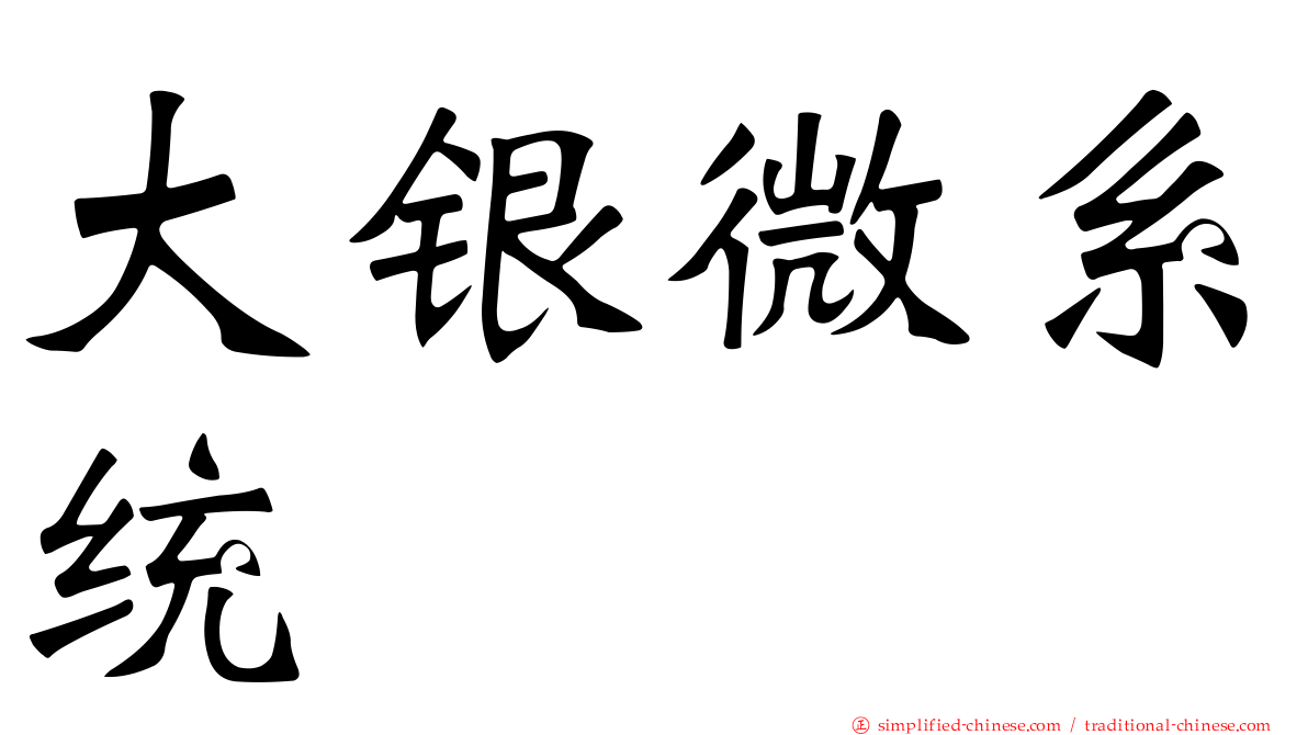 大银微系统