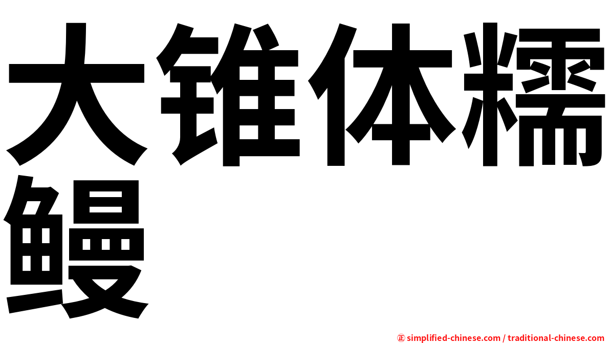 大锥体糯鳗