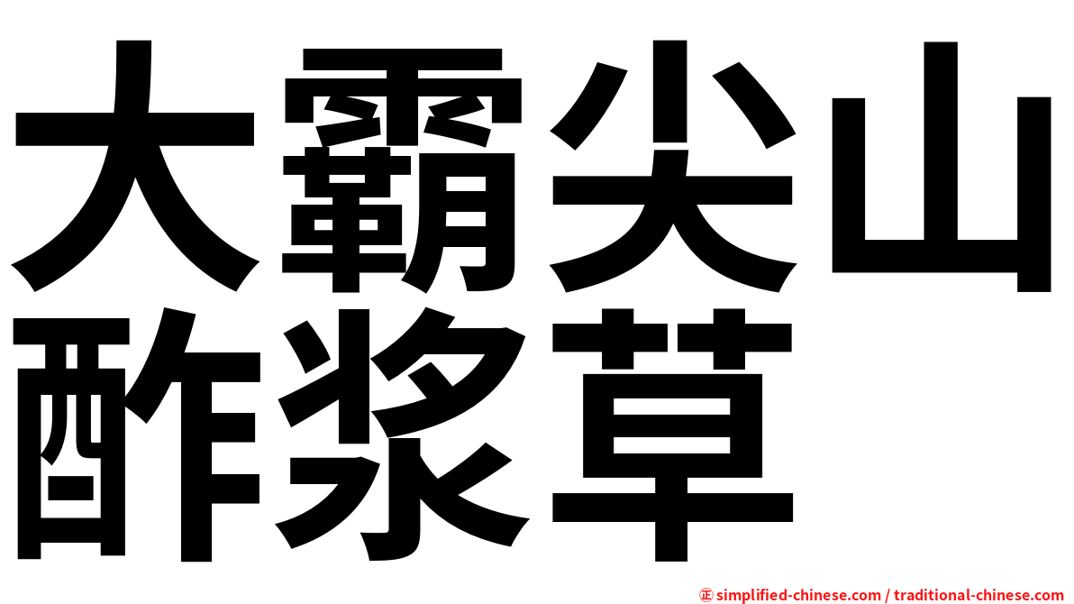 大霸尖山酢浆草