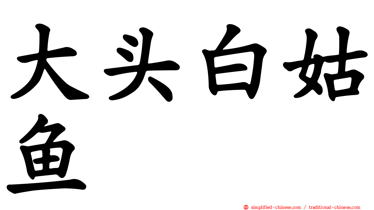 大头白姑鱼