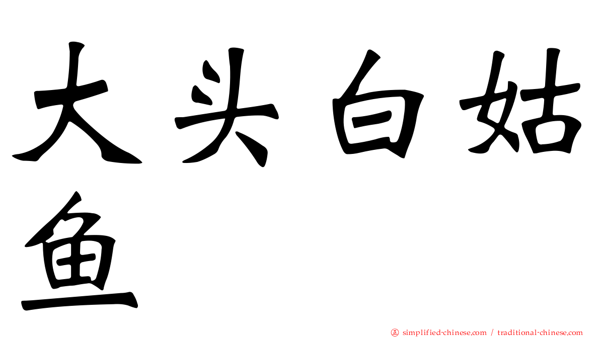 大头白姑鱼