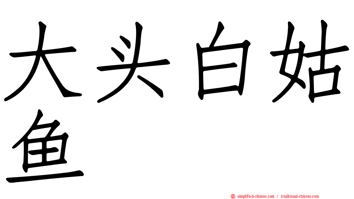 大头白姑鱼