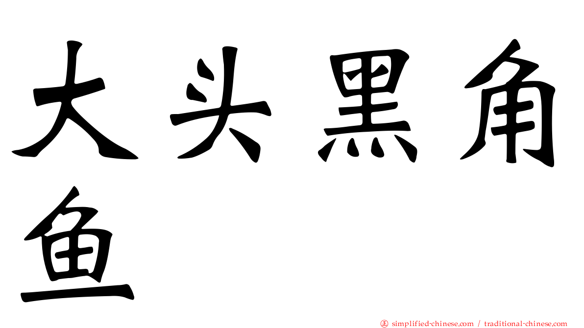 大头黑角鱼