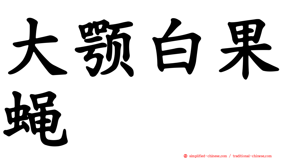 大颚白果蝇