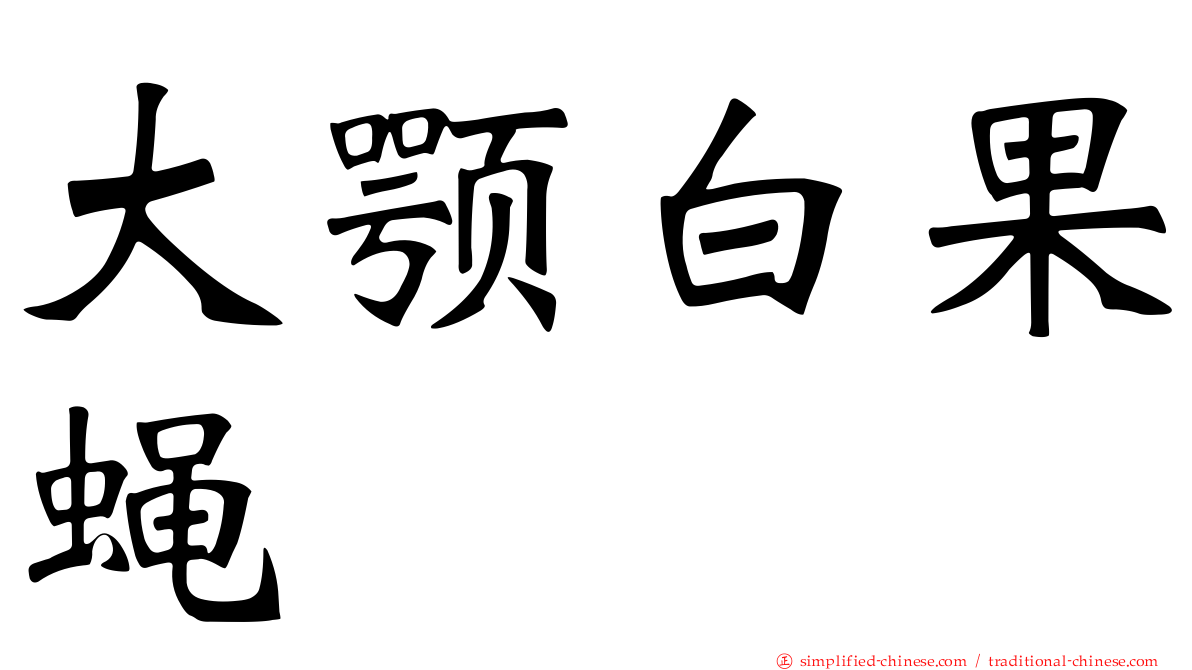大颚白果蝇