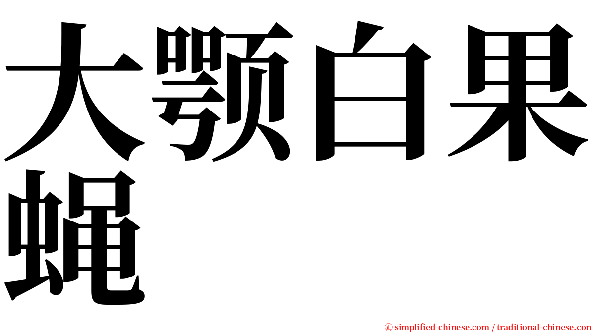 大颚白果蝇 serif font