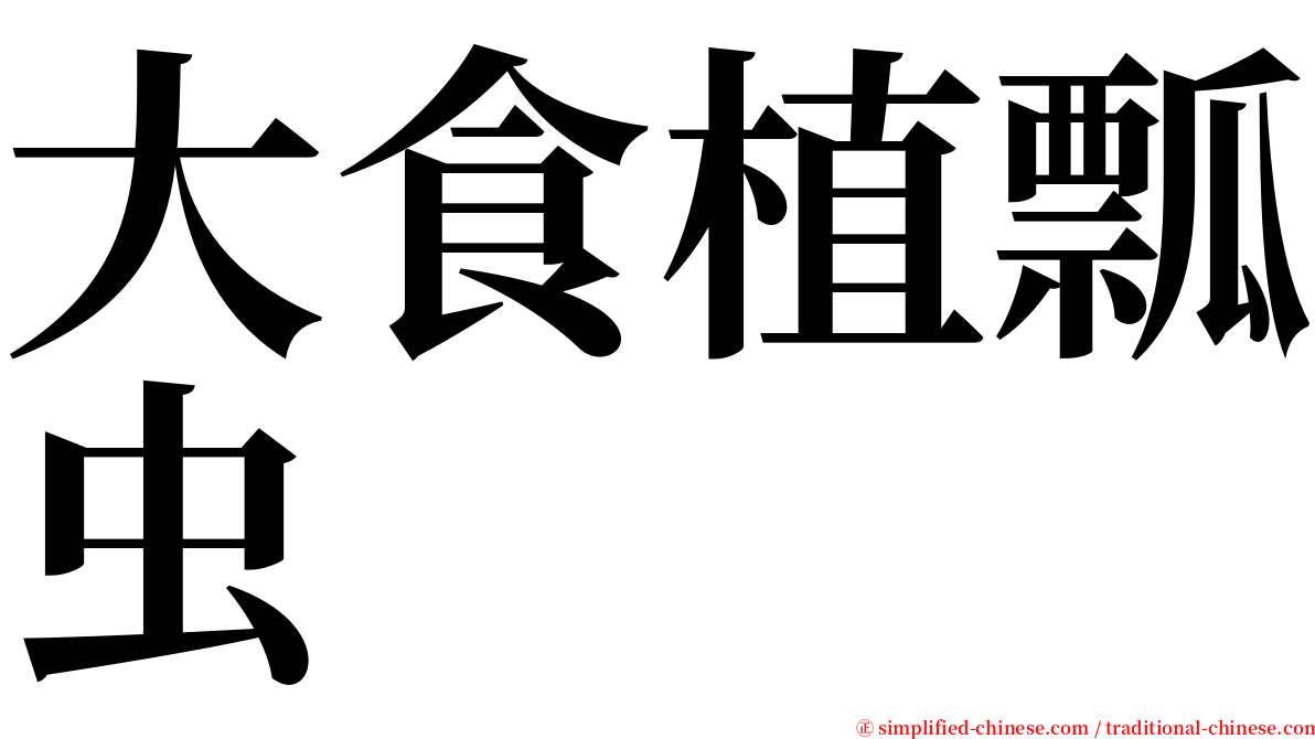 大食植瓢虫 serif font