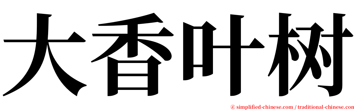 大香叶树 serif font