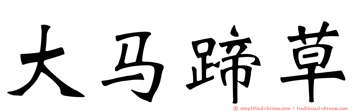 大马蹄草
