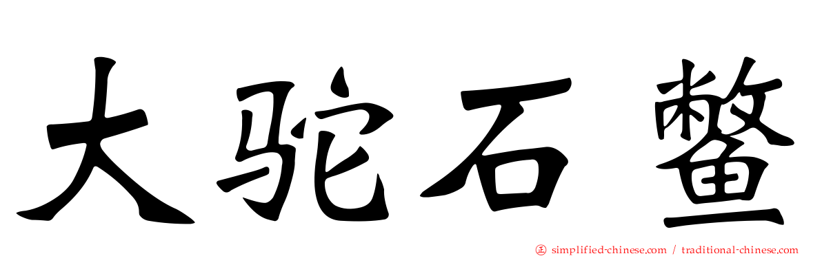 大驼石鳖