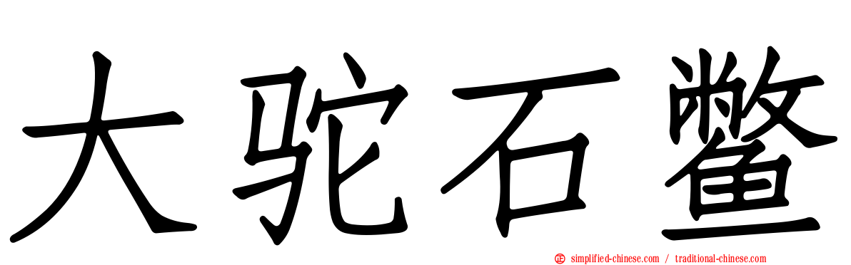 大驼石鳖