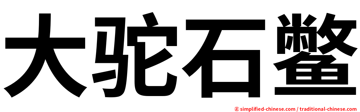 大驼石鳖