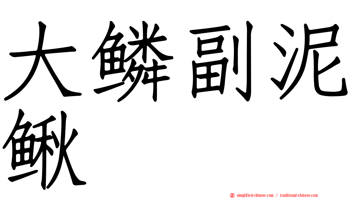 大鳞副泥鳅