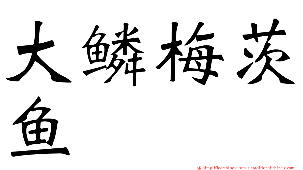 大鳞梅茨鱼
