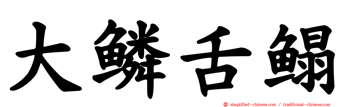 大鳞舌鳎