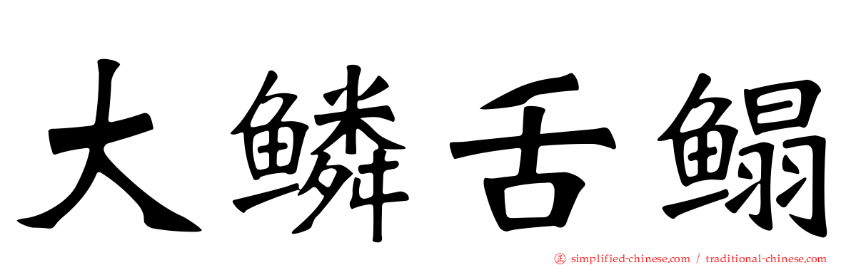 大鳞舌鳎