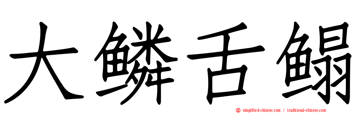 大鳞舌鳎