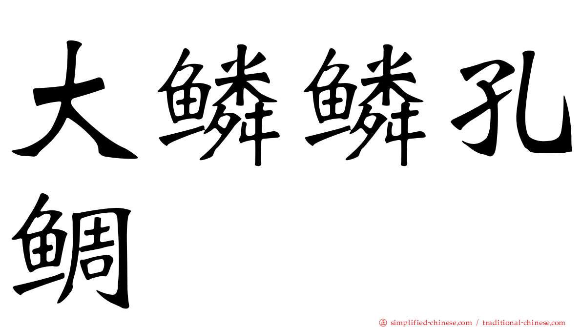 大鳞鳞孔鲷