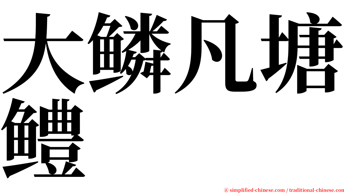 大鳞凡塘鳢 serif font