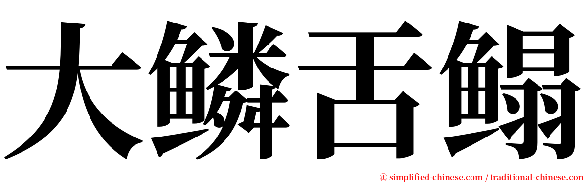 大鳞舌鳎 serif font
