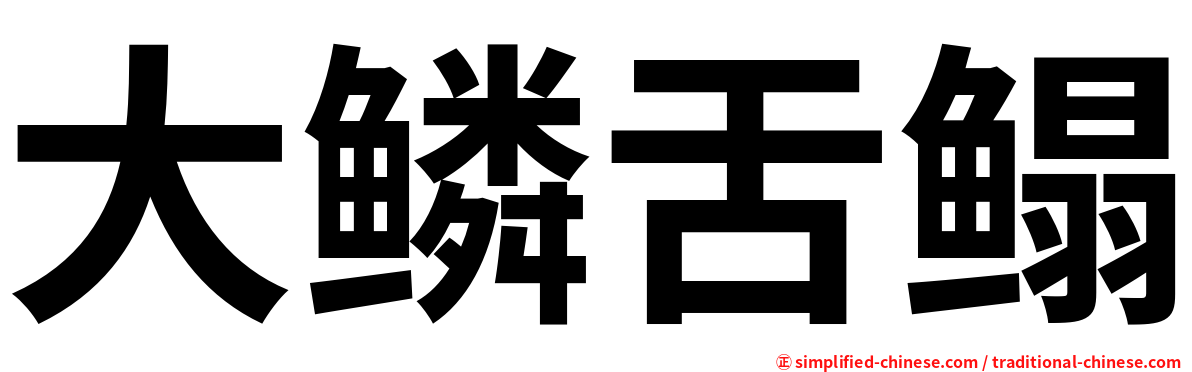 大鳞舌鳎