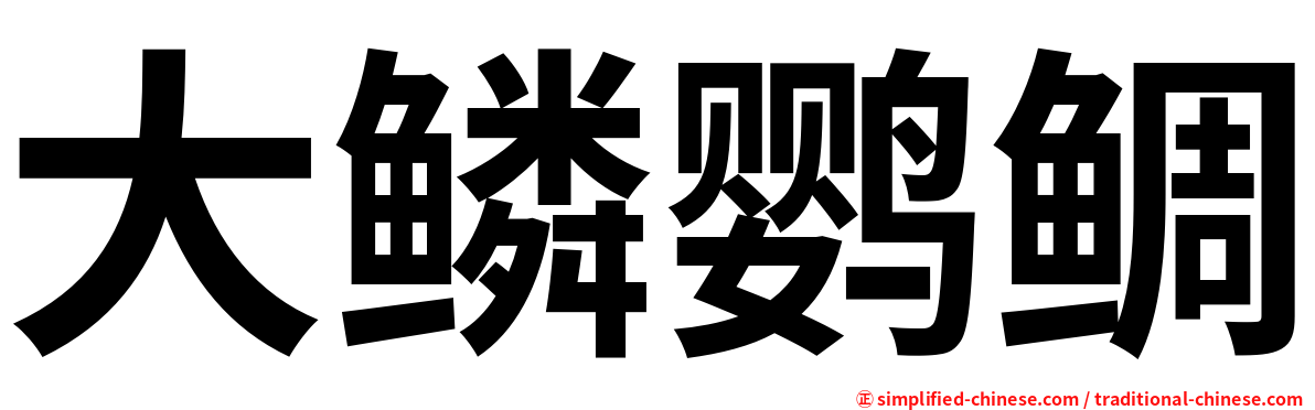 大鳞鹦鲷