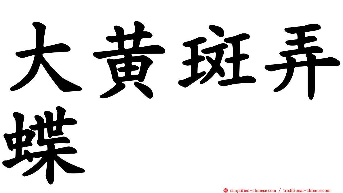 大黄斑弄蝶