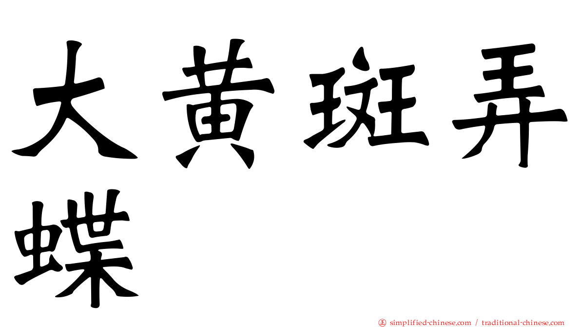 大黄斑弄蝶